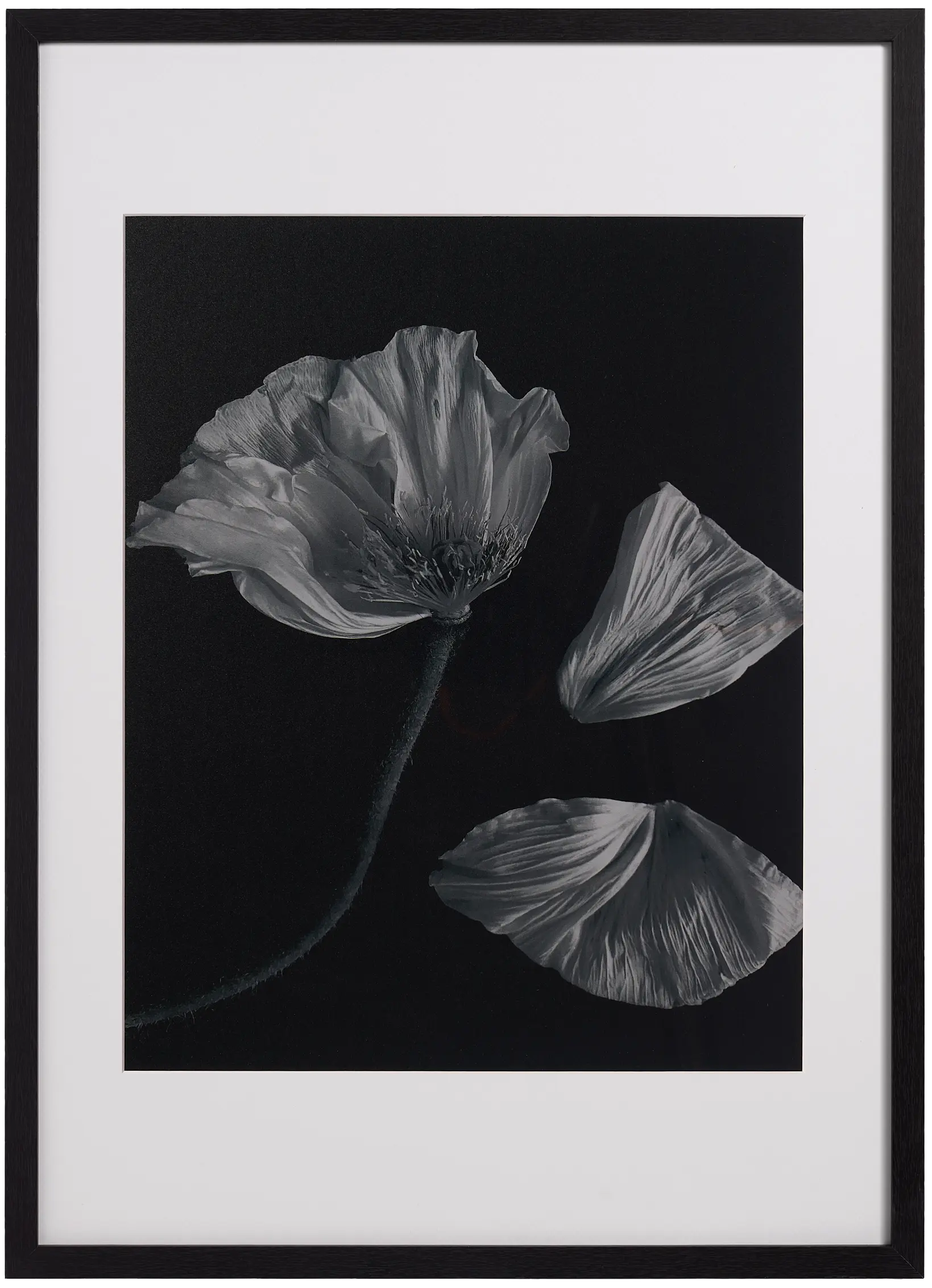 額縁 boconcept Silent art Silent art Gallery | BoConcept 額縁 boconcept Silent art Silent art Gallery | BoConcept